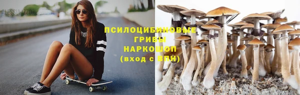 гидра Бронницы