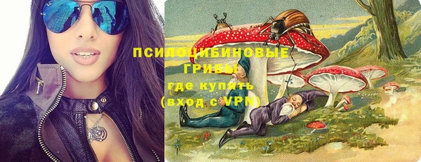 индика Верея