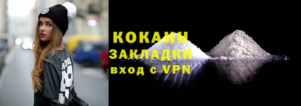 индика Верея