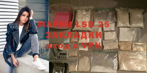 индика Верея