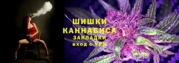индика Верея