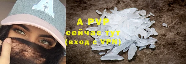 стаф Семилуки