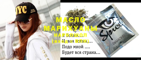 индика Верея