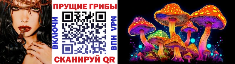 Псилоцибиновые грибы Cubensis  Мончегорск 