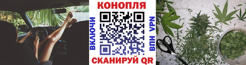 Бошки марихуана планчик  Мончегорск 